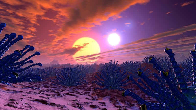 Exobiology Explorations